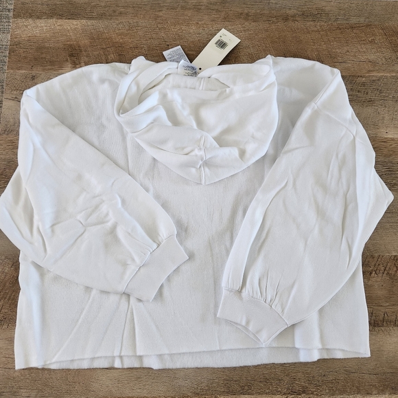 Levi's Women's Cropped Happy Strawberry Prism Hoodie Size 2X - Picture 4 of 11